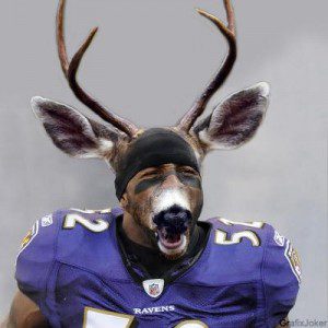 These are some of the side effects Ray Lewis is experiencing after using the deer-antler spray. 
