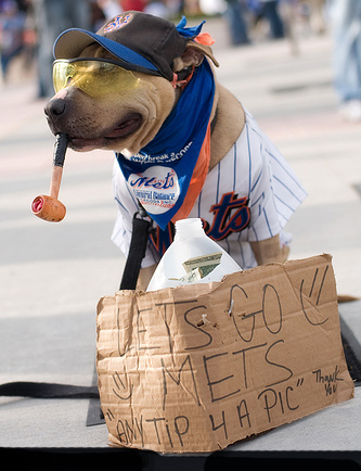 Mets dog 2013