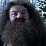 Professor Rubeus Hagrid
