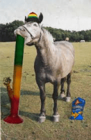 Jeter's Gift Horse