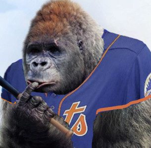 Mets gorilla Korak Meet_The_Matts