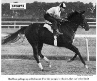 ruffian_belmont-gallop