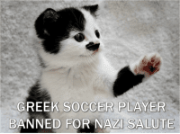 Current-Event-Cat-Greek-Soccer