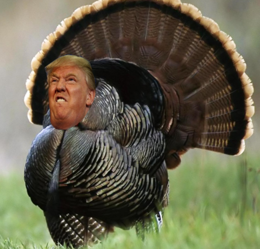 turkey_trump