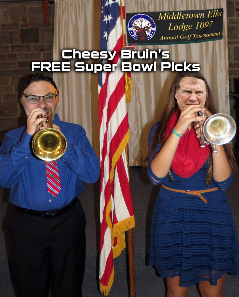 Cheesy_Bruin Free Super Bowl Picks, Meet_The_Matts, Gronkowski's Head, Tom Brady d