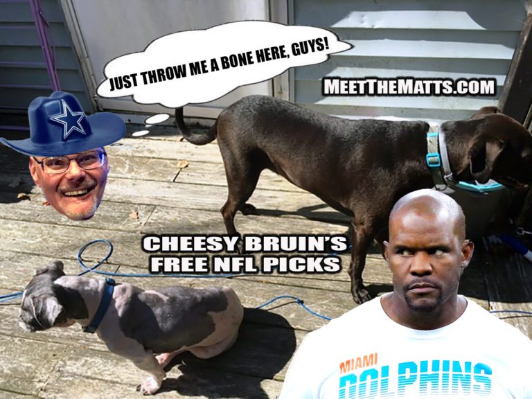 Cheesy Bruin, Free NFL Picks, Brian_Flores, Dophins, Rich Perlongo, Meet_The_Matts