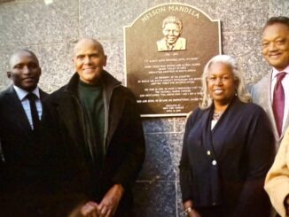 Jesse Jackson, White Sox, Aristotle Mugsy Sakellaridis, Meet The Matts